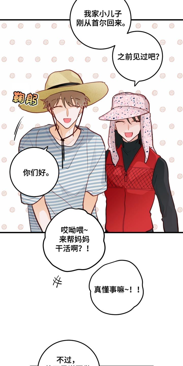 第32章：果园11