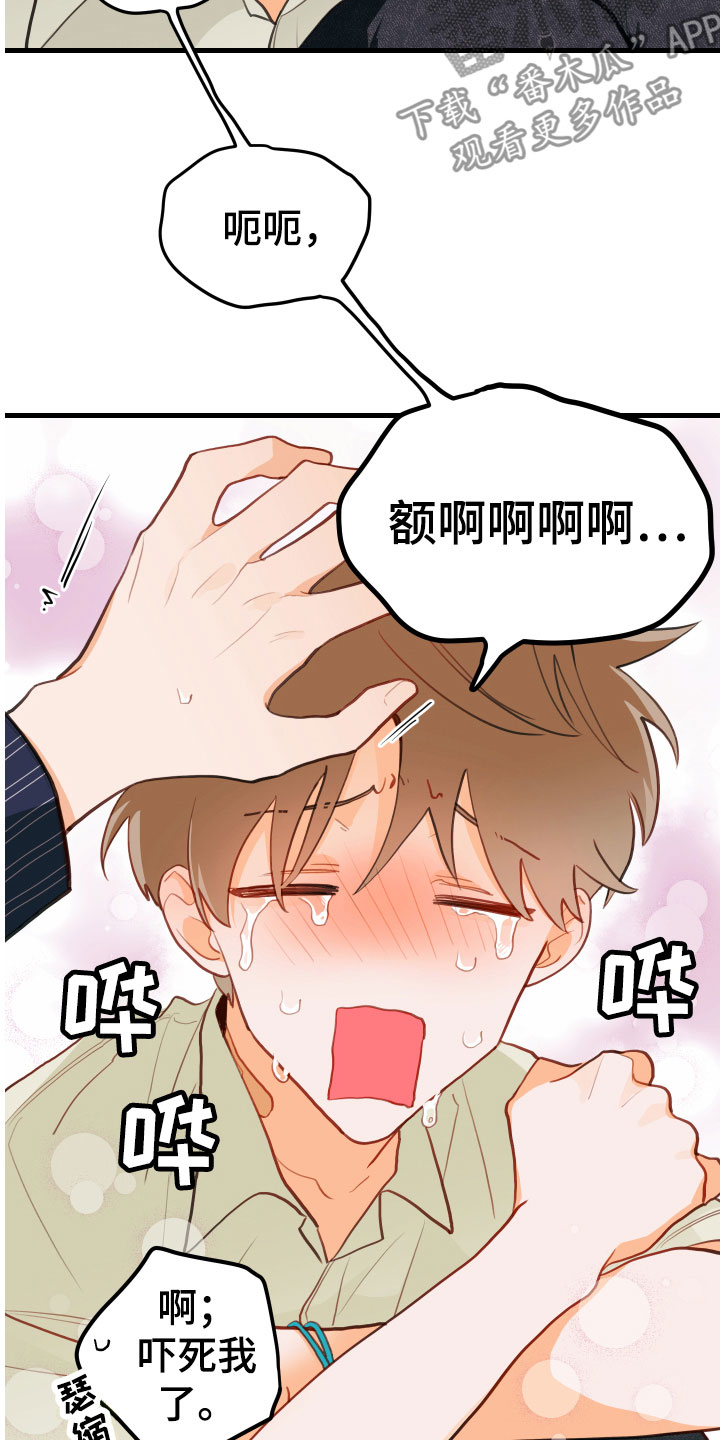 第13章：醉了17