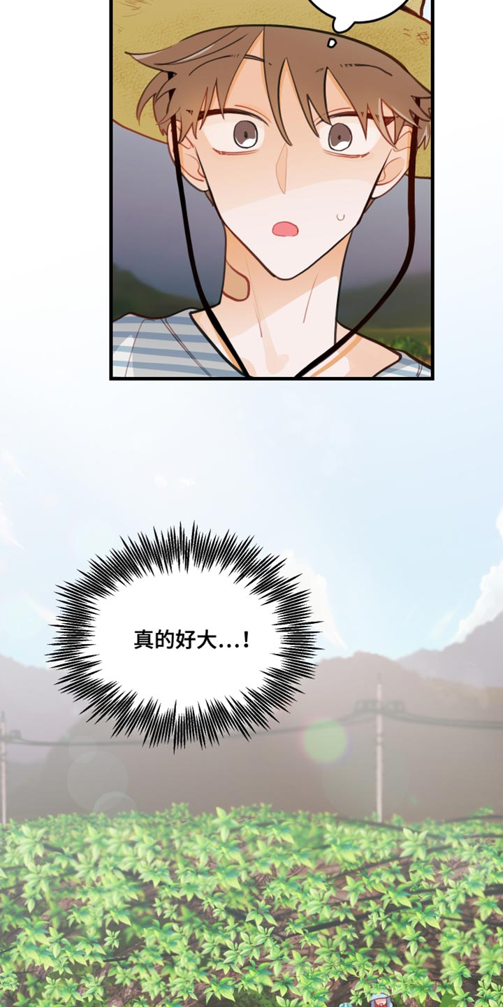 第32章：果园8
