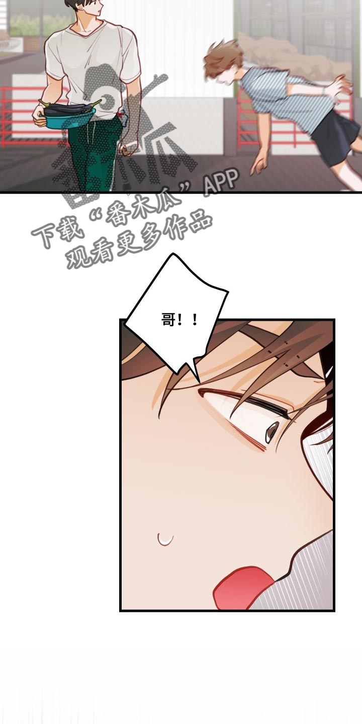 第29章：送茄子19