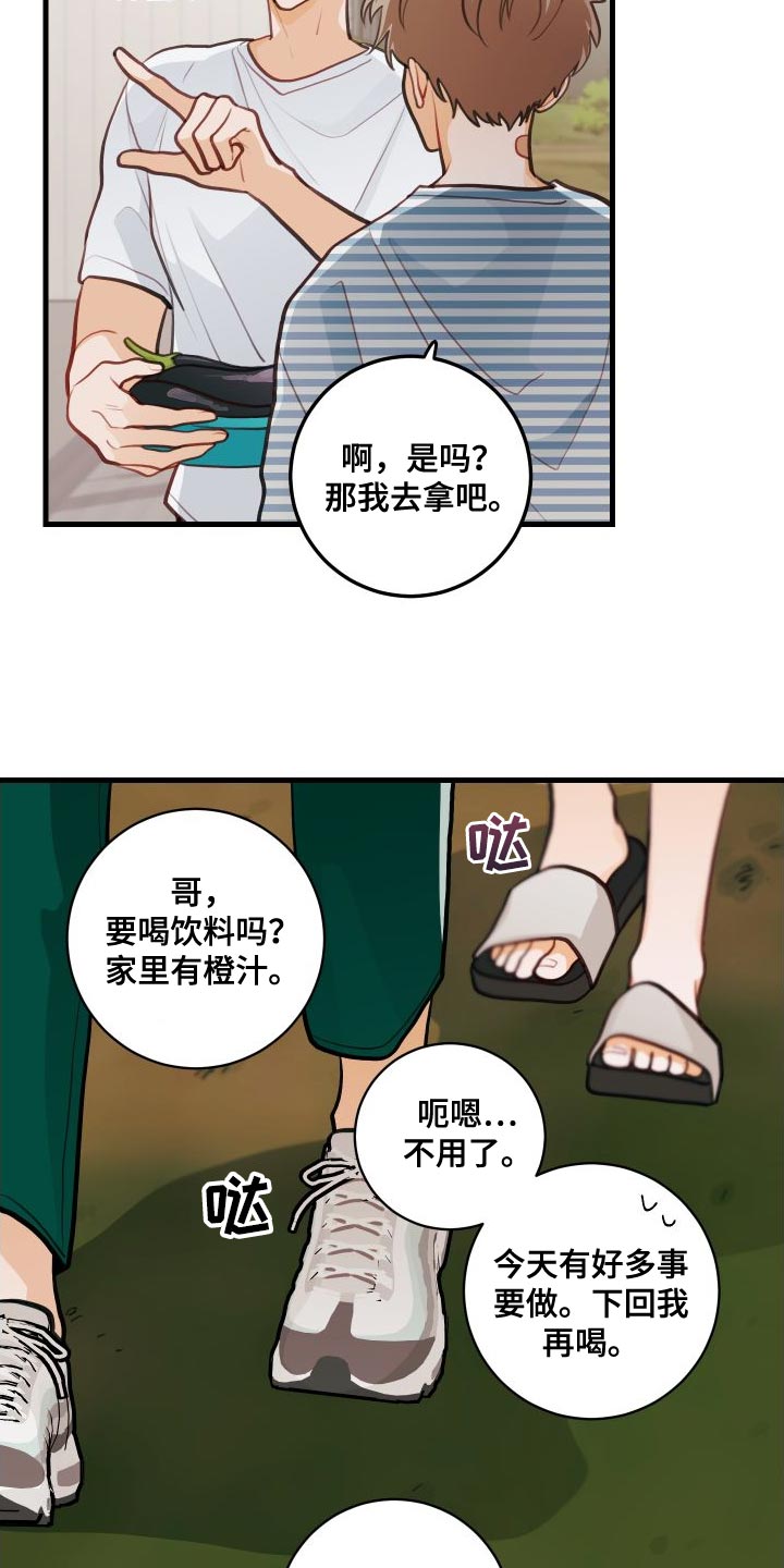 第29章：送茄子17