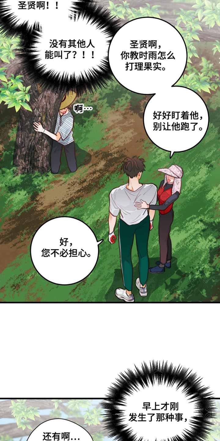第32章：果园17