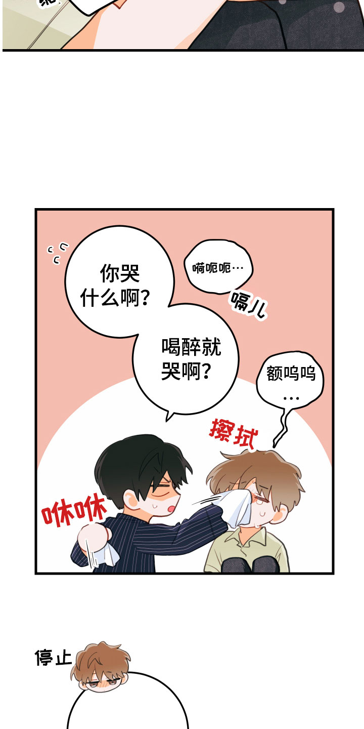 第13章：醉了18