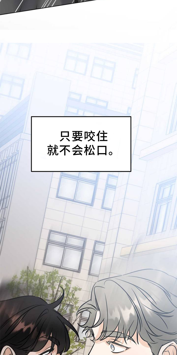 第3章：连接12
