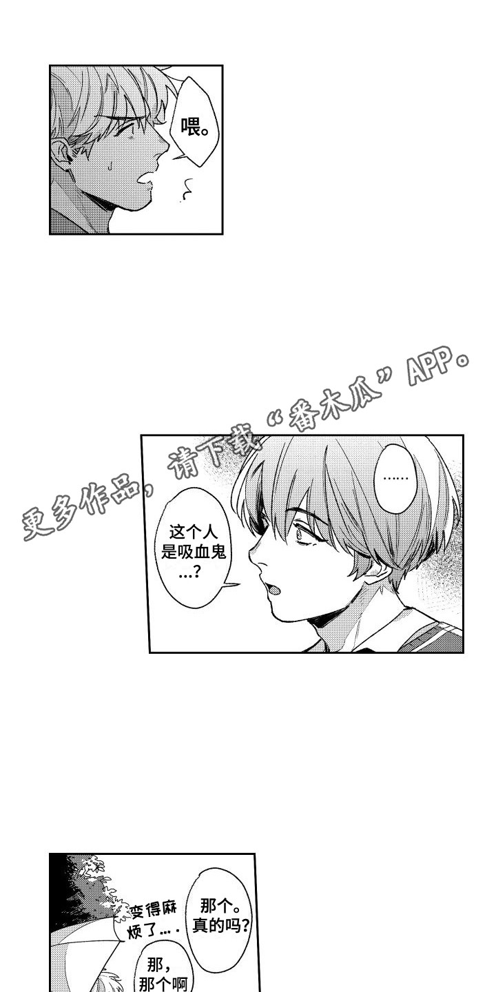 第15章：再次遇见10