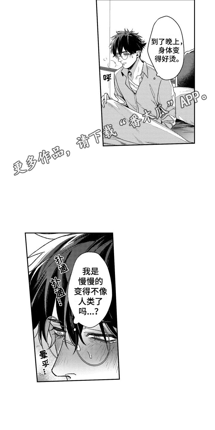 第20章：失去理智  4