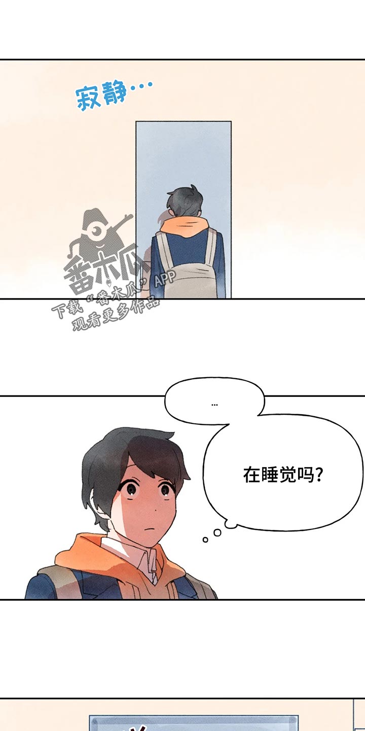 第54章：复习13