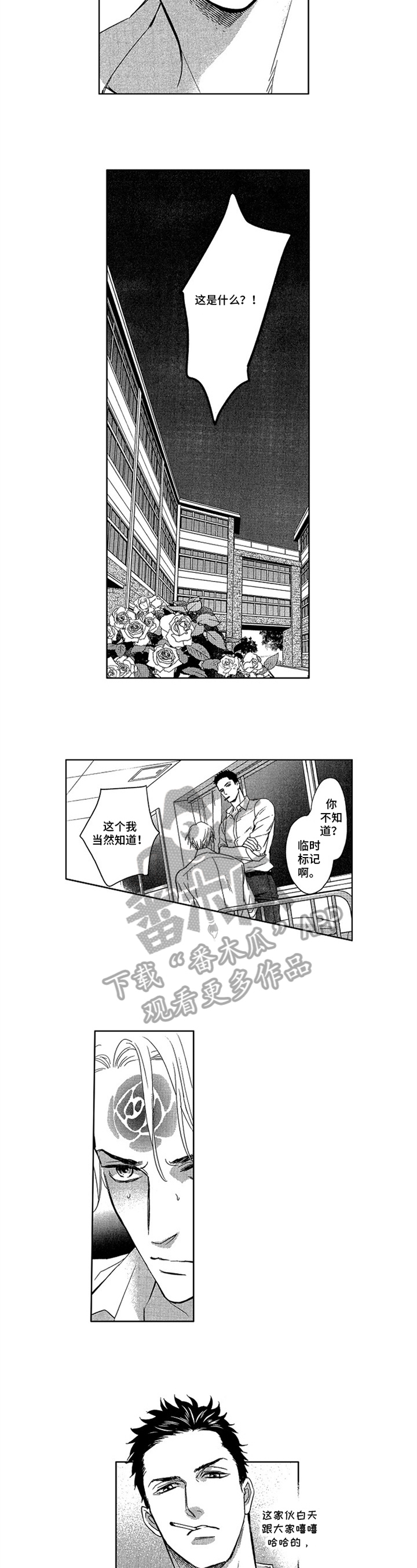 第5章：标记5
