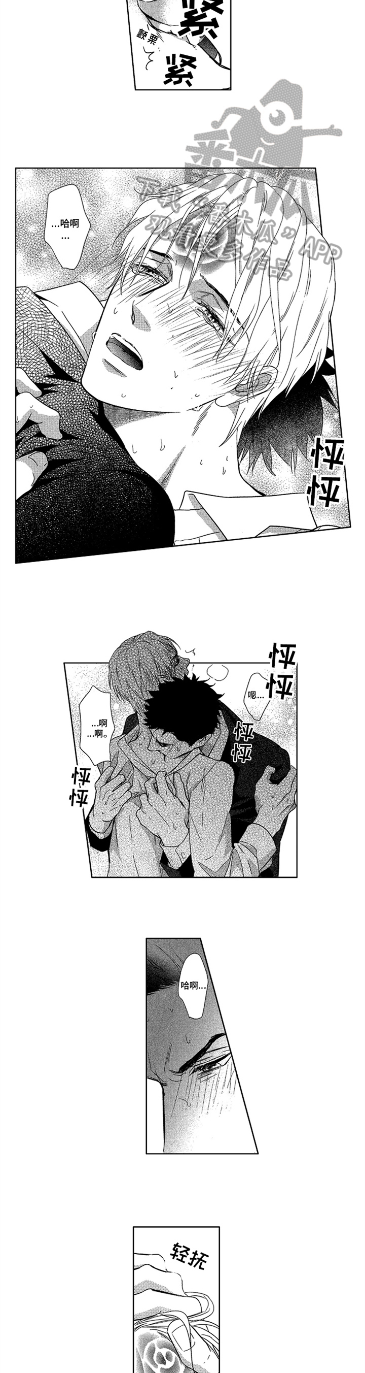 第24章：归属5