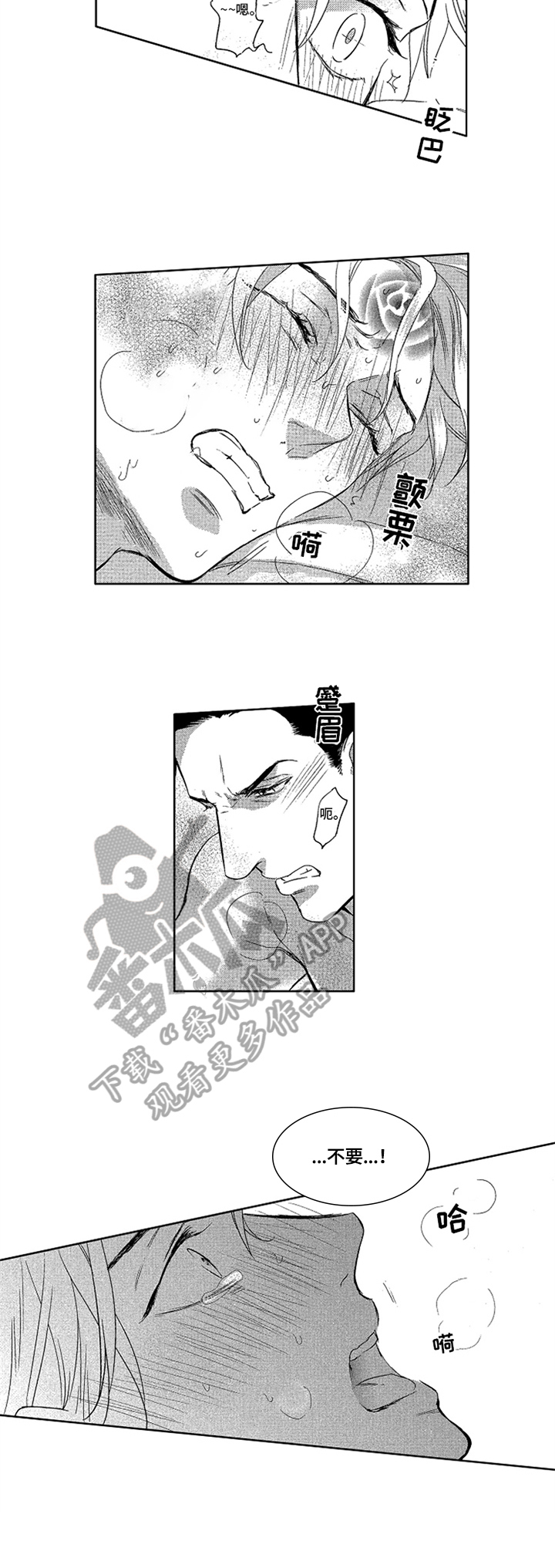 第24章：归属8