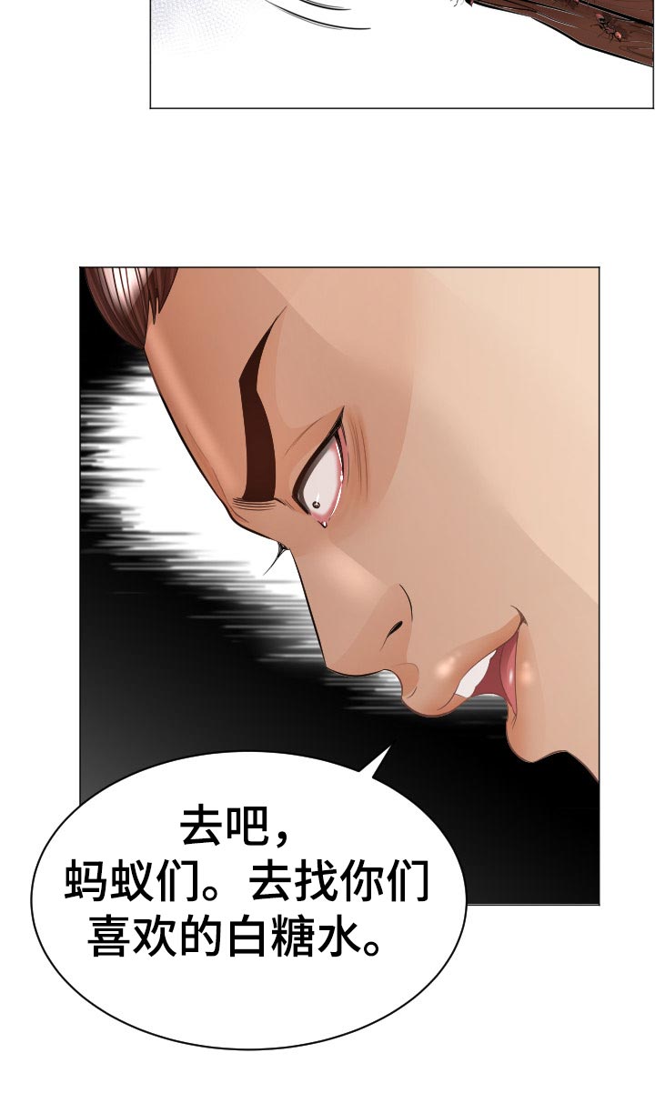 第70章：蚂蚁的功效19