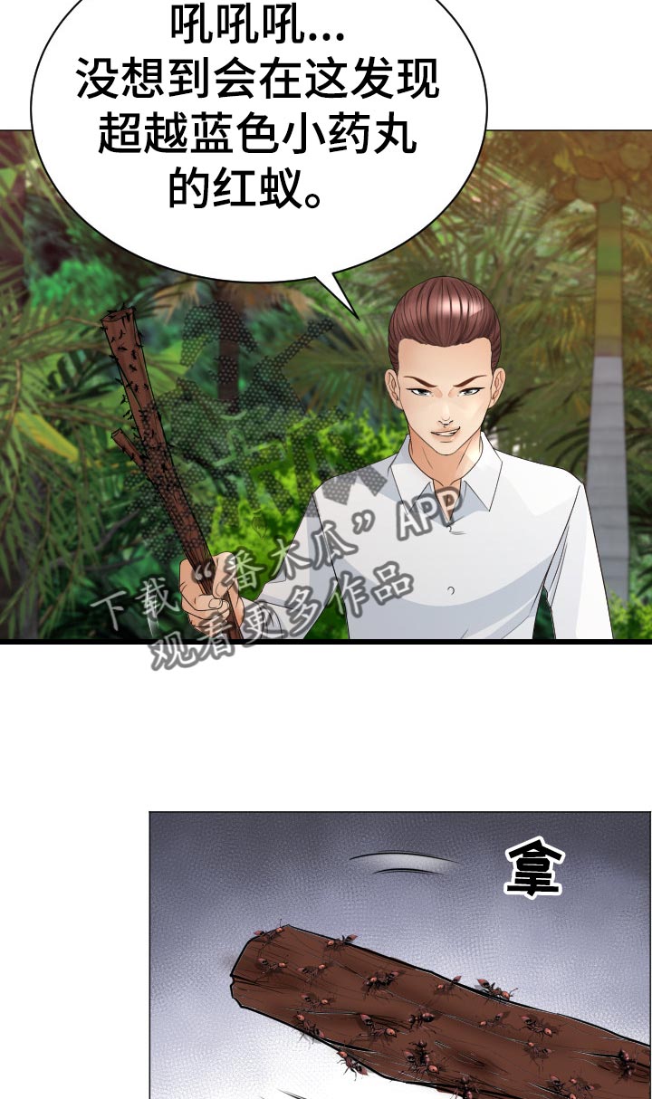 第70章：蚂蚁的功效18
