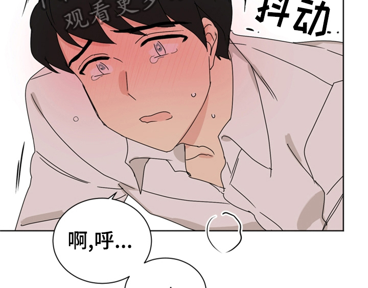 第6章：手段17