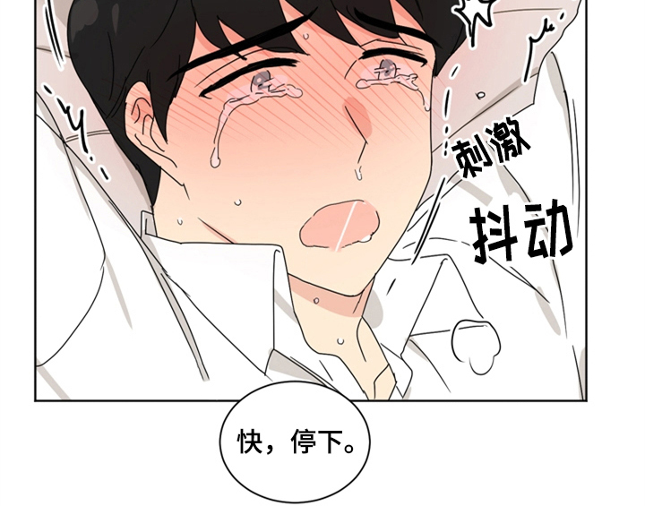 第6章：手段54