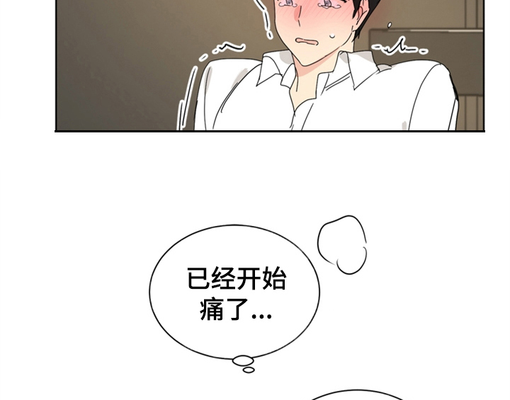 第6章：手段32