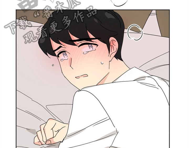 第6章：手段37