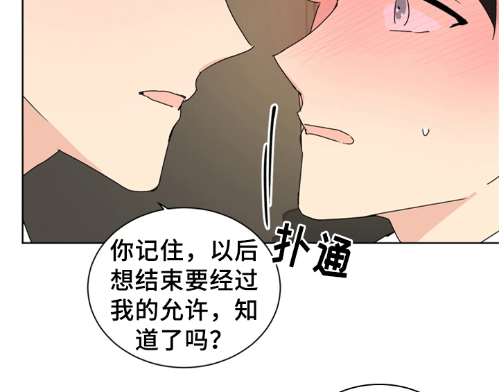 第6章：手段27