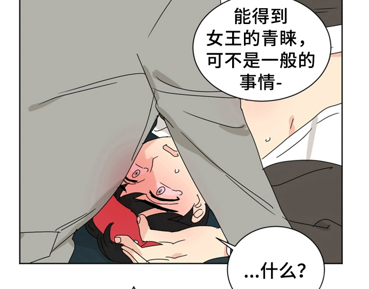 第9章：要求34