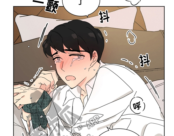第6章：手段51