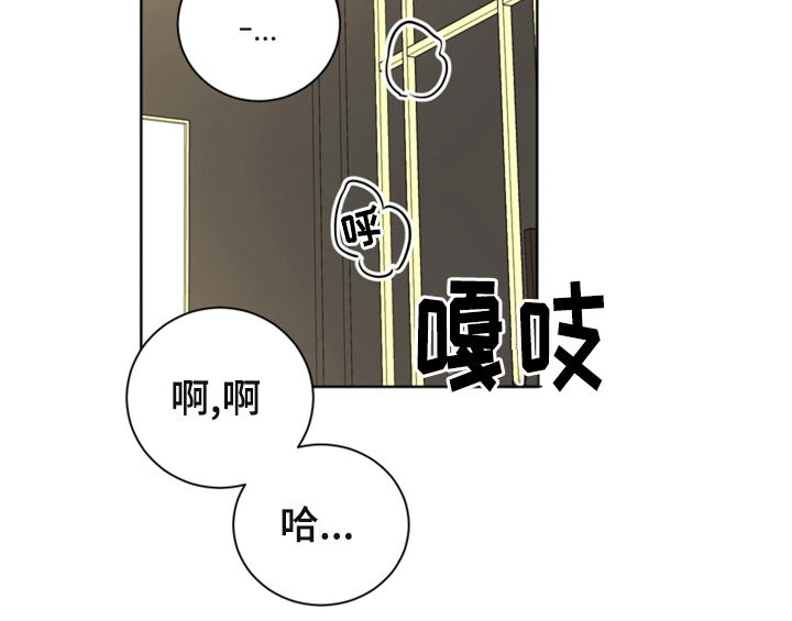 第6章：手段42
