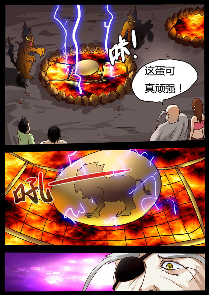 第71章：6