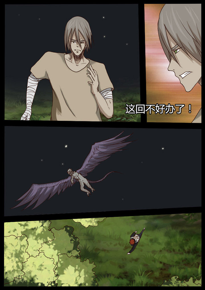 第54章：7