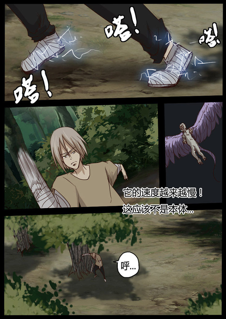 第55章：6