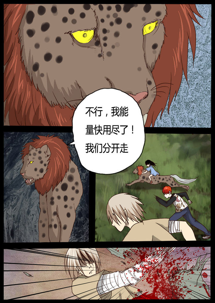 第54章：3