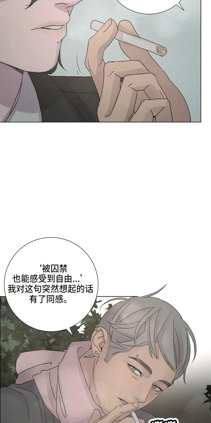 第19章：蝴蝶5