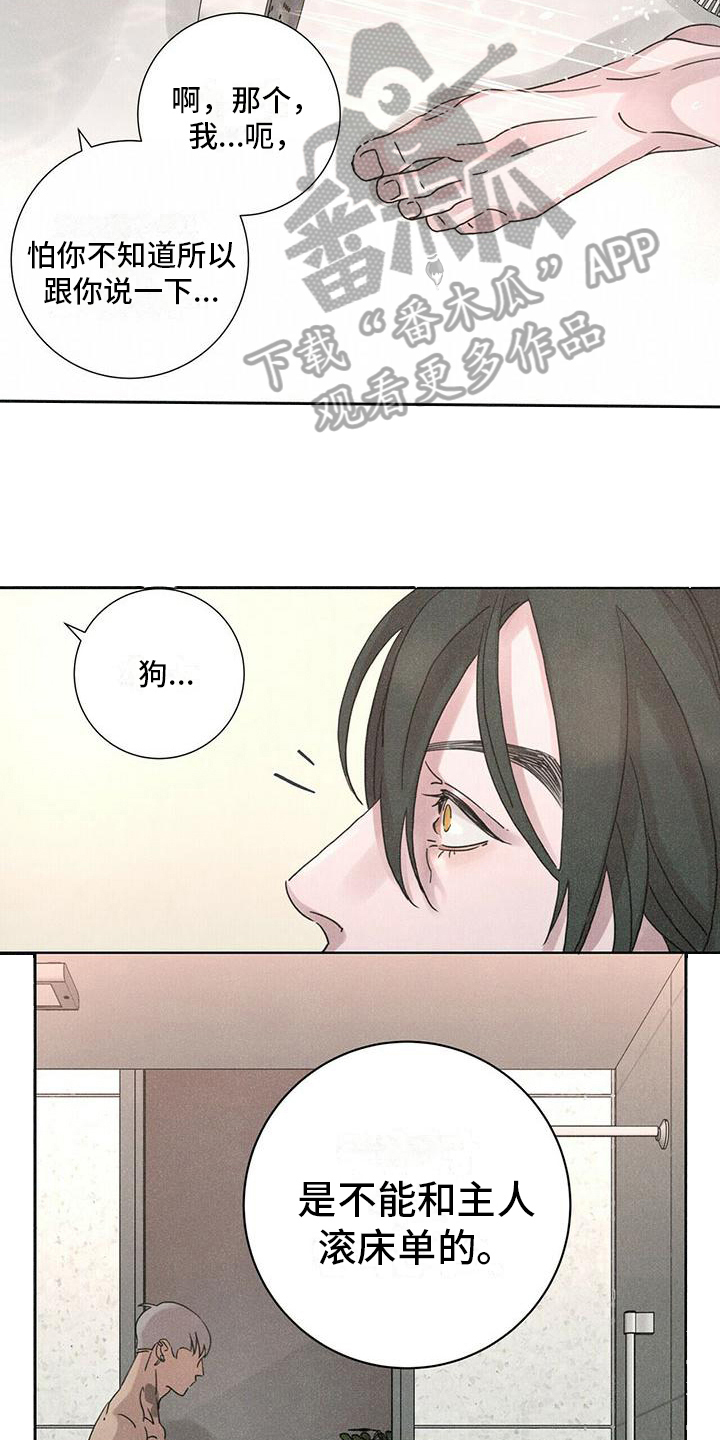 第6章：拒绝13