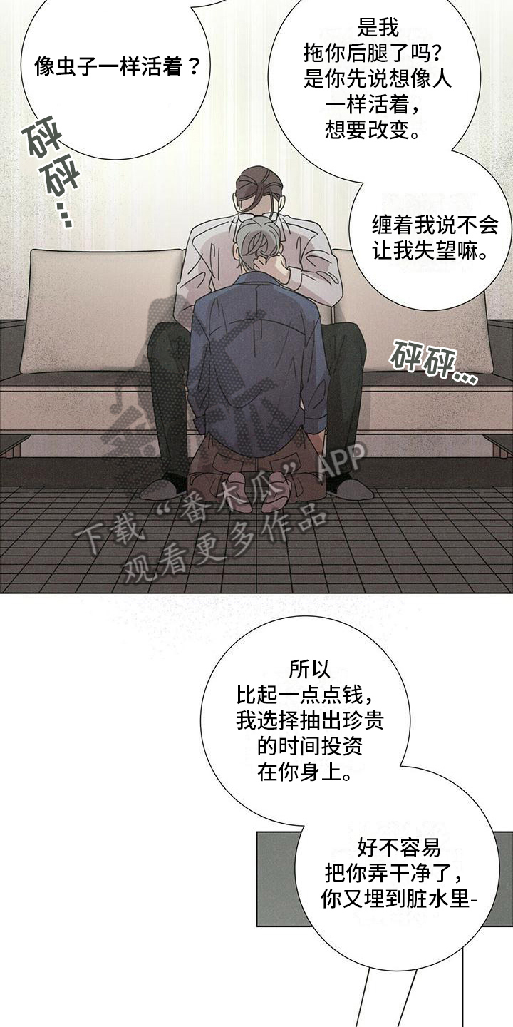 第11章：态度13