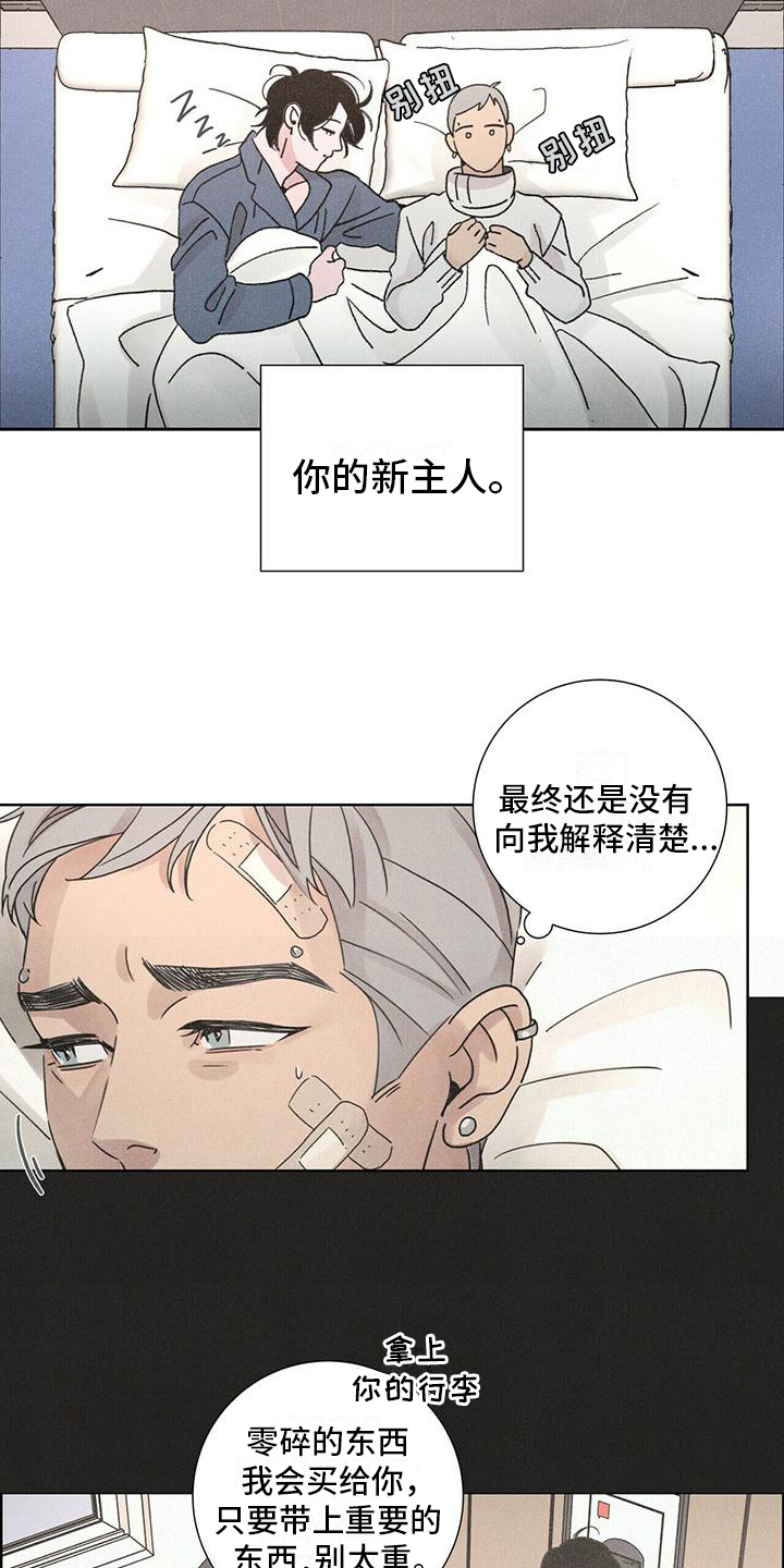第4章：带回家9
