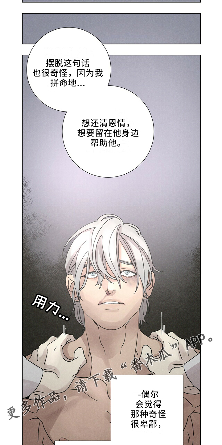 第28章：太期待10