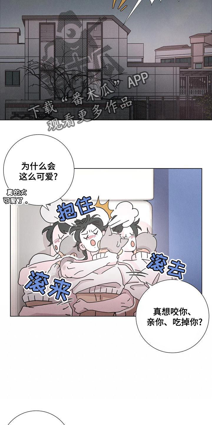 第41章：病入药膏4