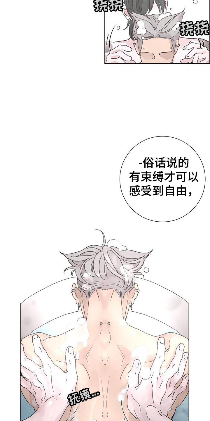 第62章：【第二季】注定2