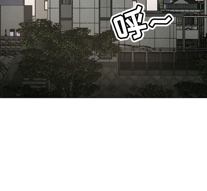 第19章：蝴蝶12