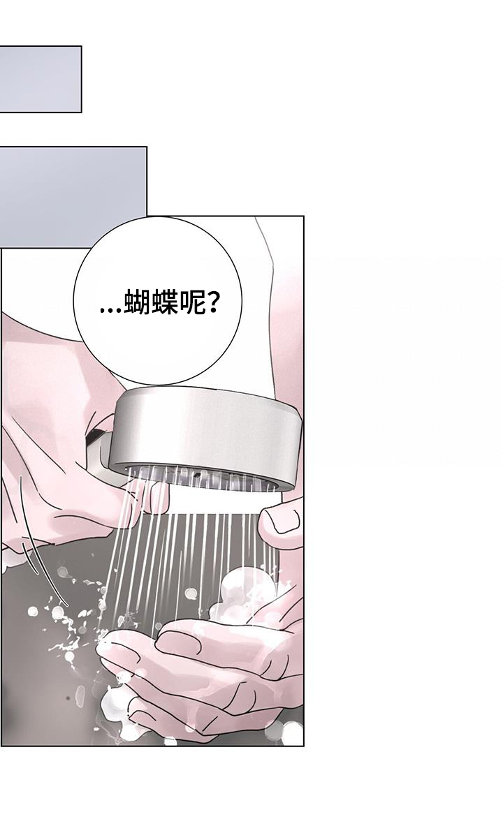 第62章：【第二季】注定6