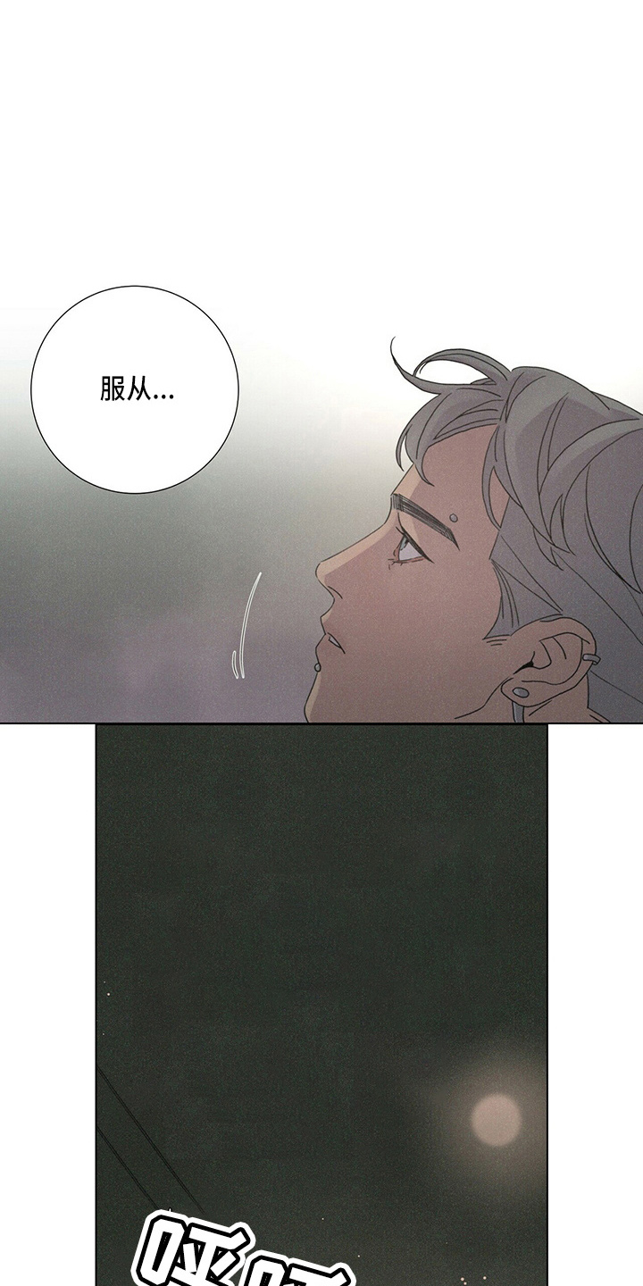 第19章：蝴蝶0