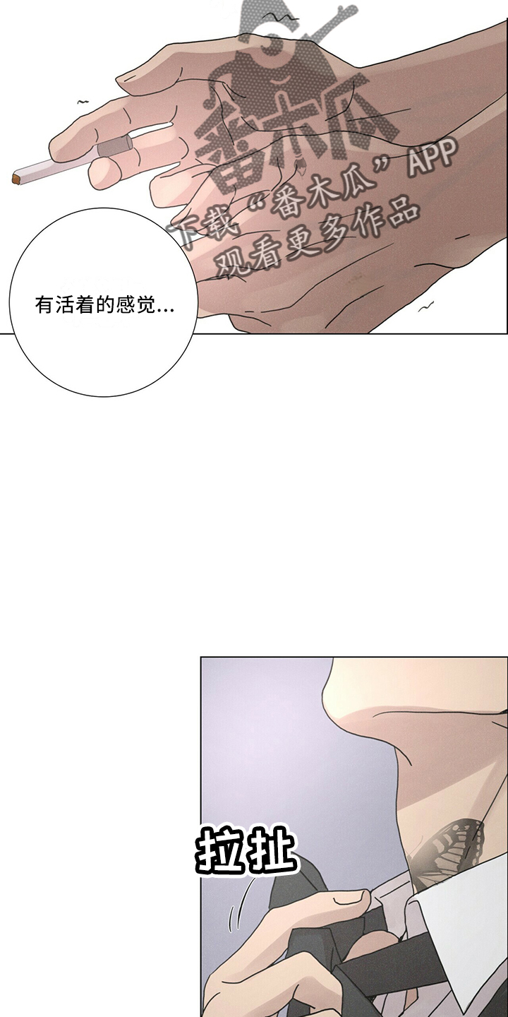 第28章：太期待8