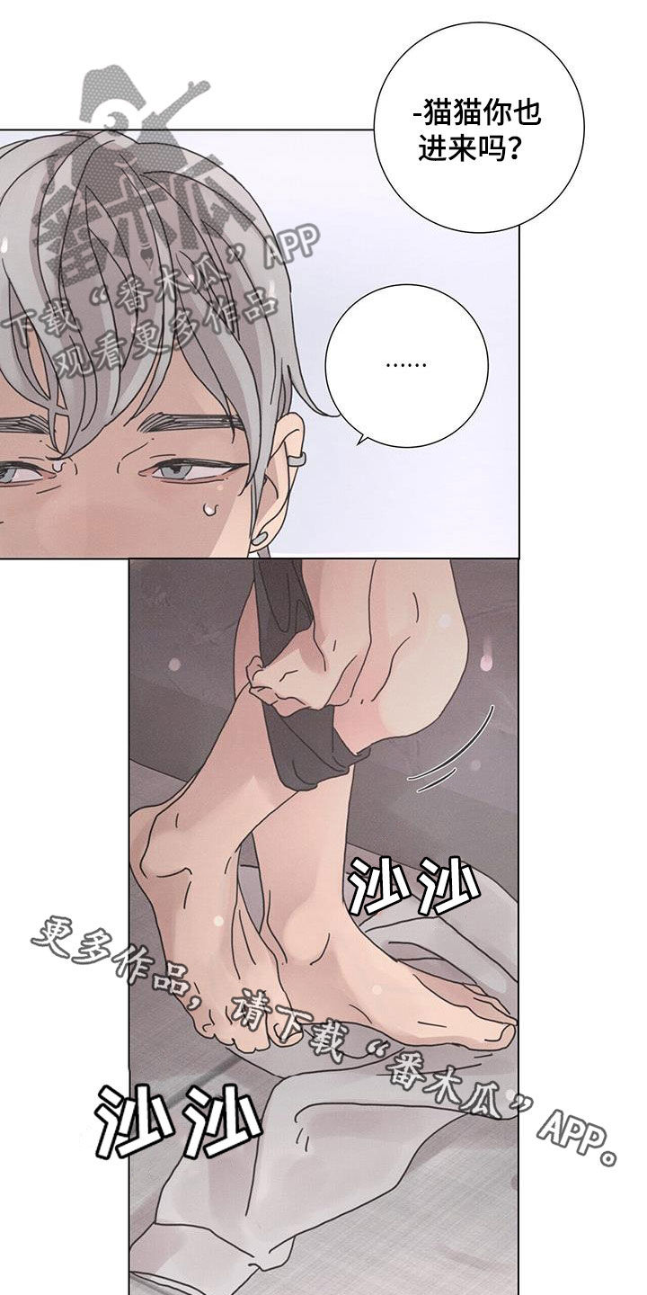 第46章：日常生活15