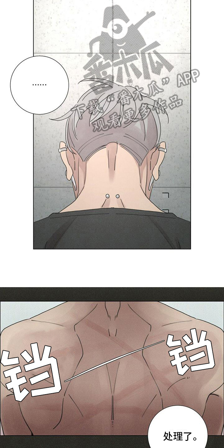 第15章：本性难移11