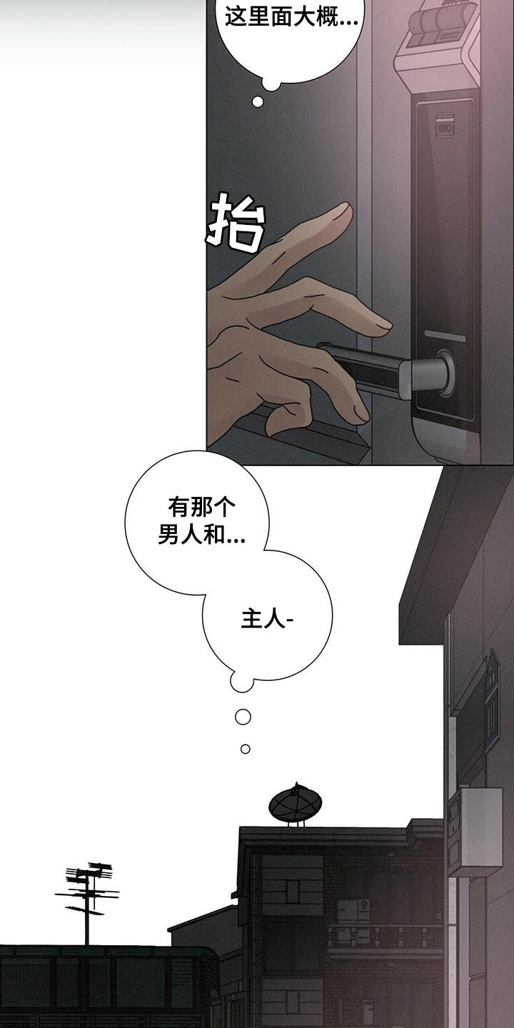 第37章：你太善良了17
