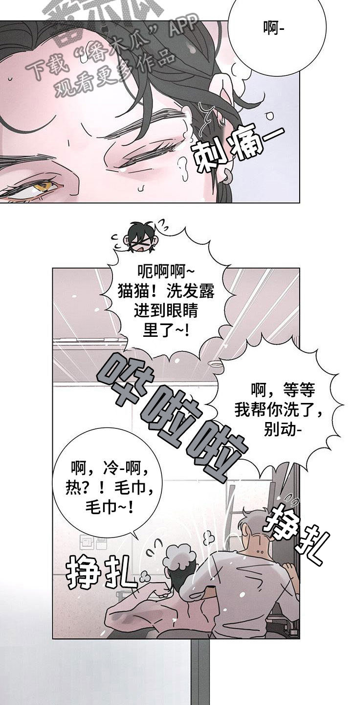 第46章：日常生活12
