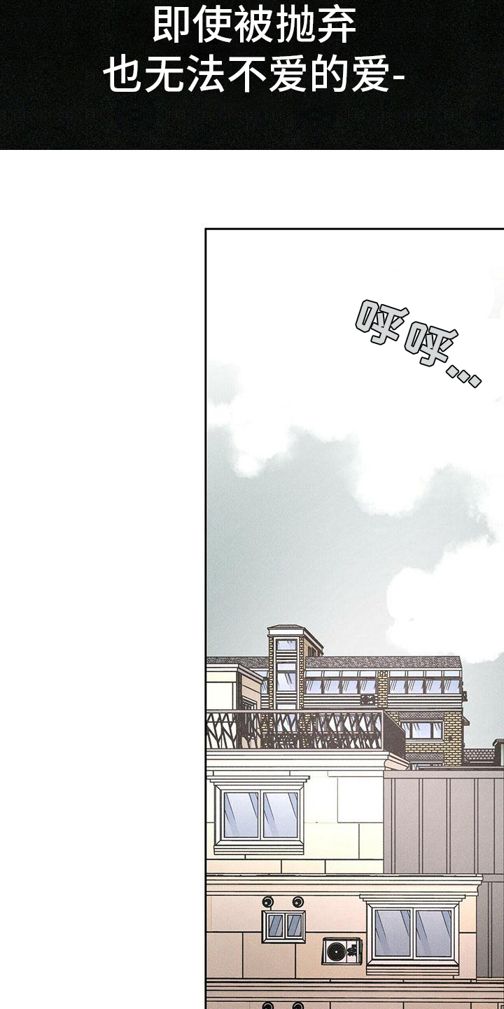 第1章：不能放弃的爱11