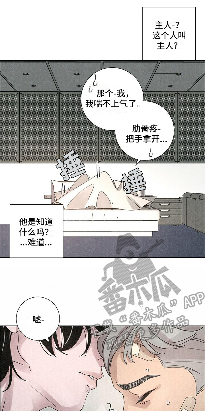 第4章：带回家13