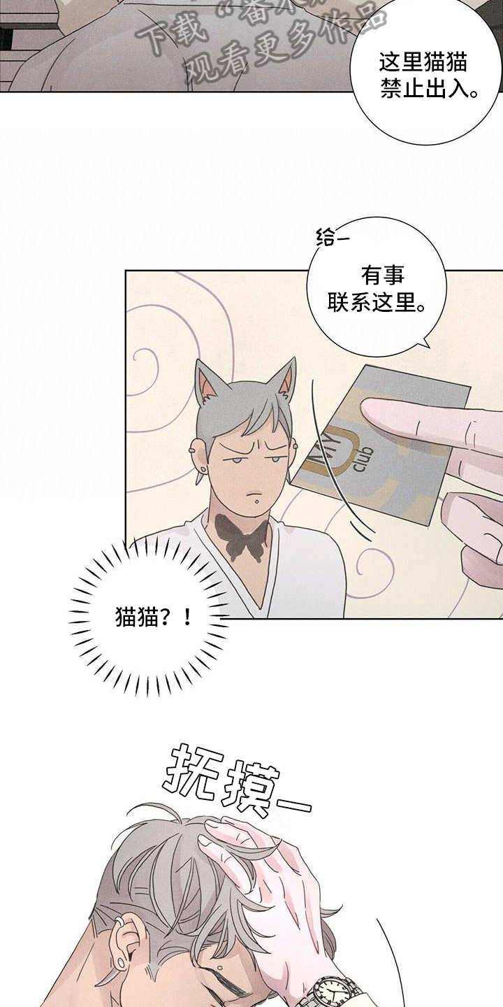 第8章：最后的短信7