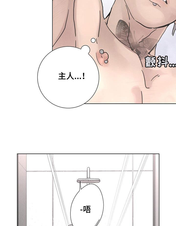 第47章：默契5
