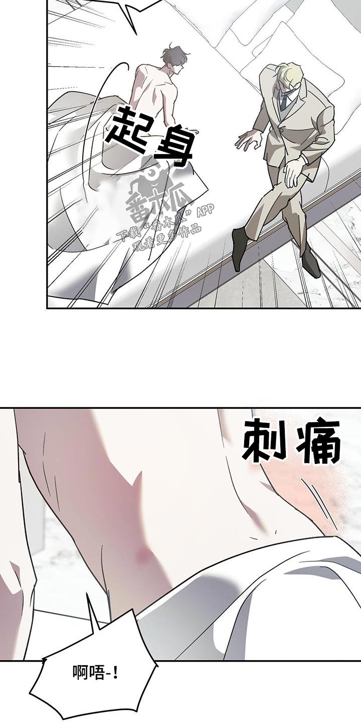第117章：【第二季】重要日子6
