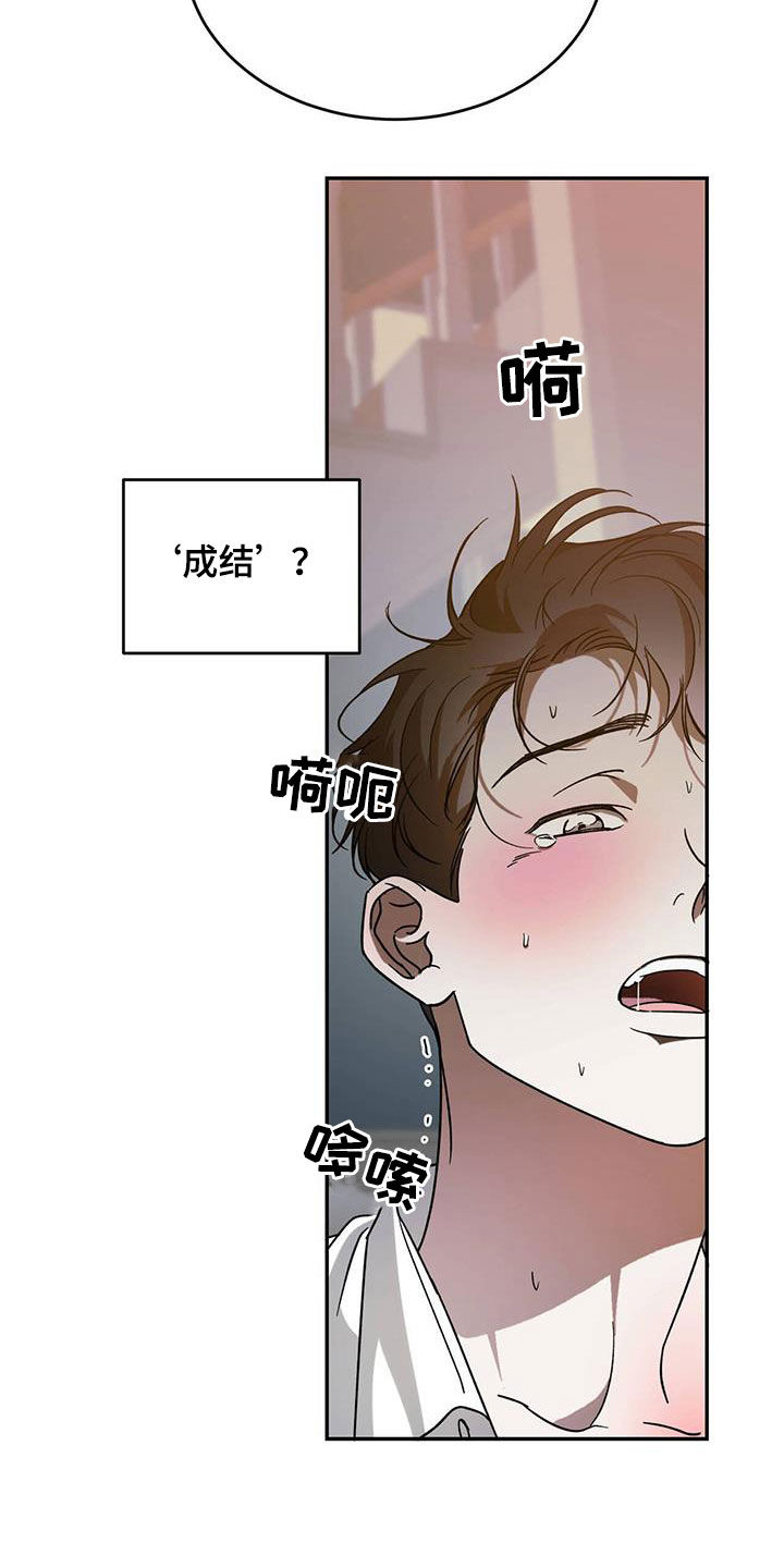 第93章：【第二季】成结10