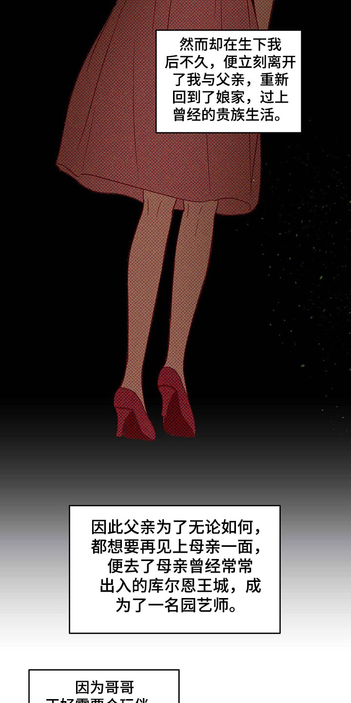 第37章：父亲与母亲21
